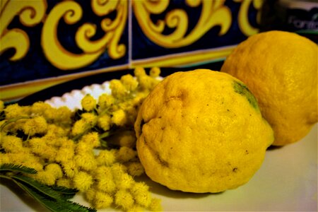 Gourmet lemon mimosa photo