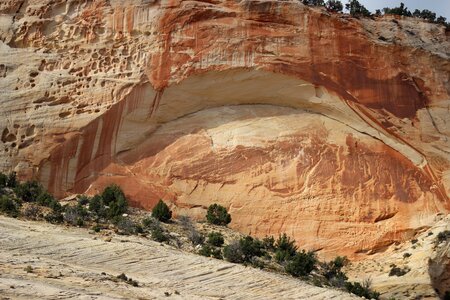 Geology desert zion national park