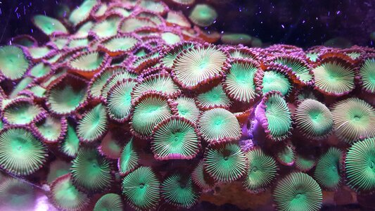 Color nature ocean