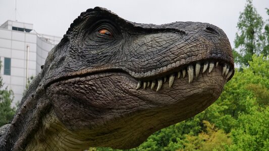 Portraits park dinosaurs