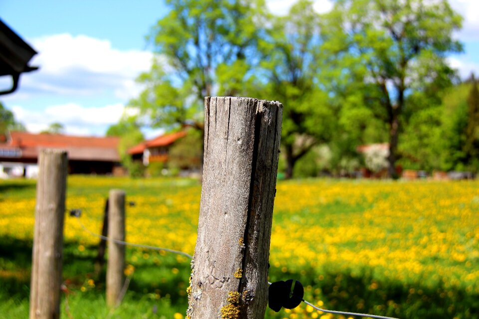 Grass landscape fence