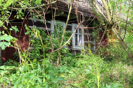 Tree farm old house