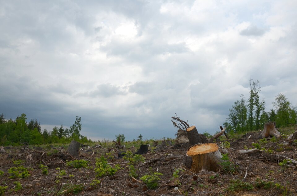 Landscape extraction the jeseníky mountains