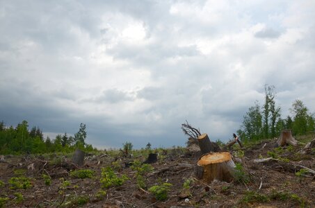 Landscape extraction the jeseníky mountains