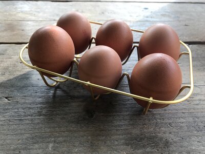 Shell wooden eggshell