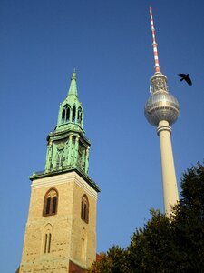 Tower berlin bird photo