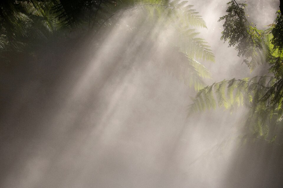 Abstract blur nature