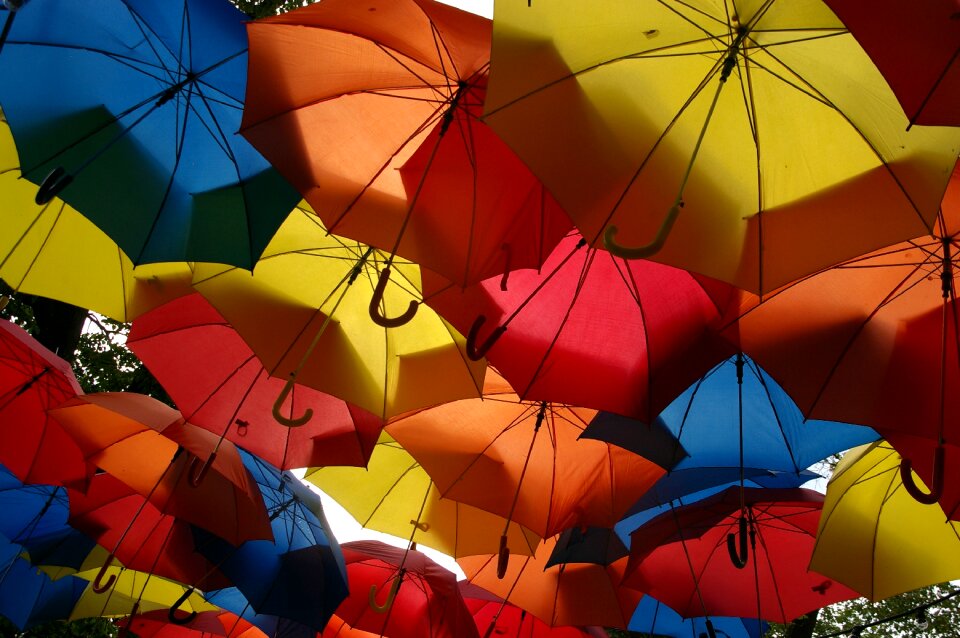 Screen roof colorful umbrella