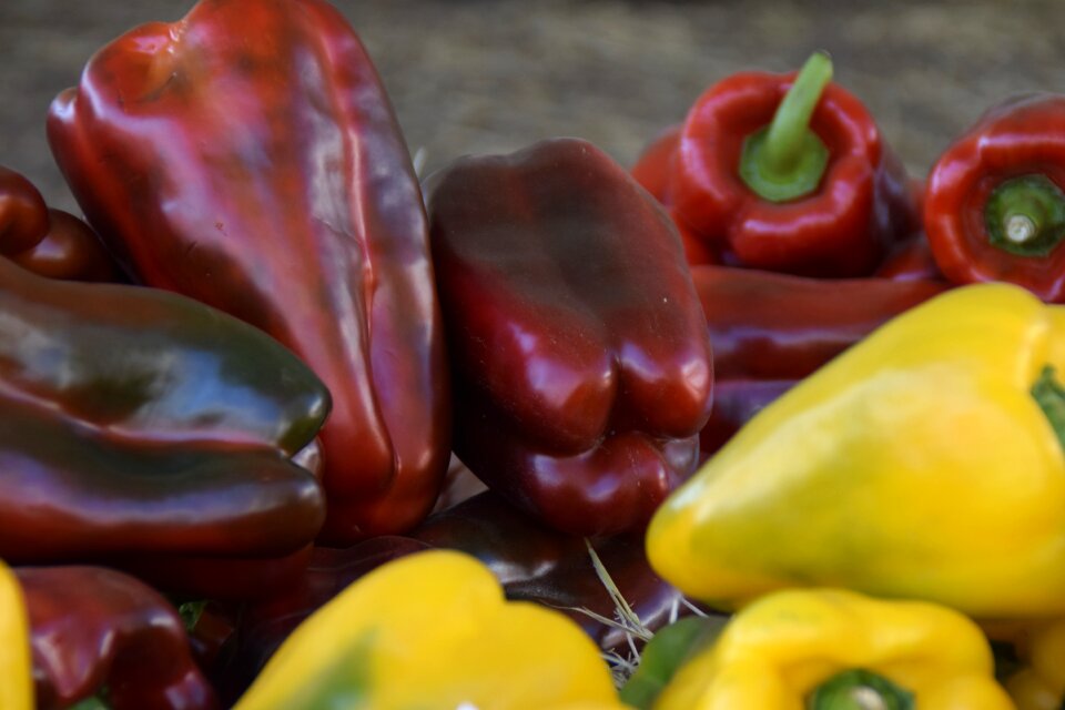 Vegetable fruit market photo