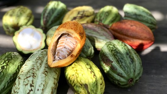 Vegetable fruit closeup