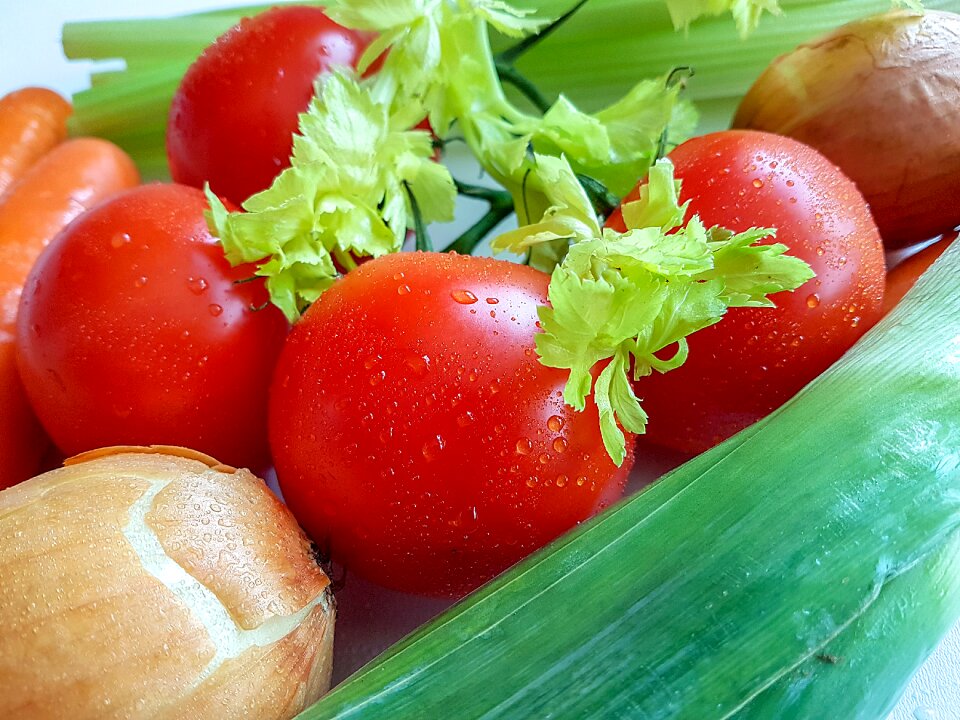 Leaf plants tomatoes fruit