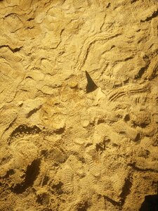 Sand sandburg beach