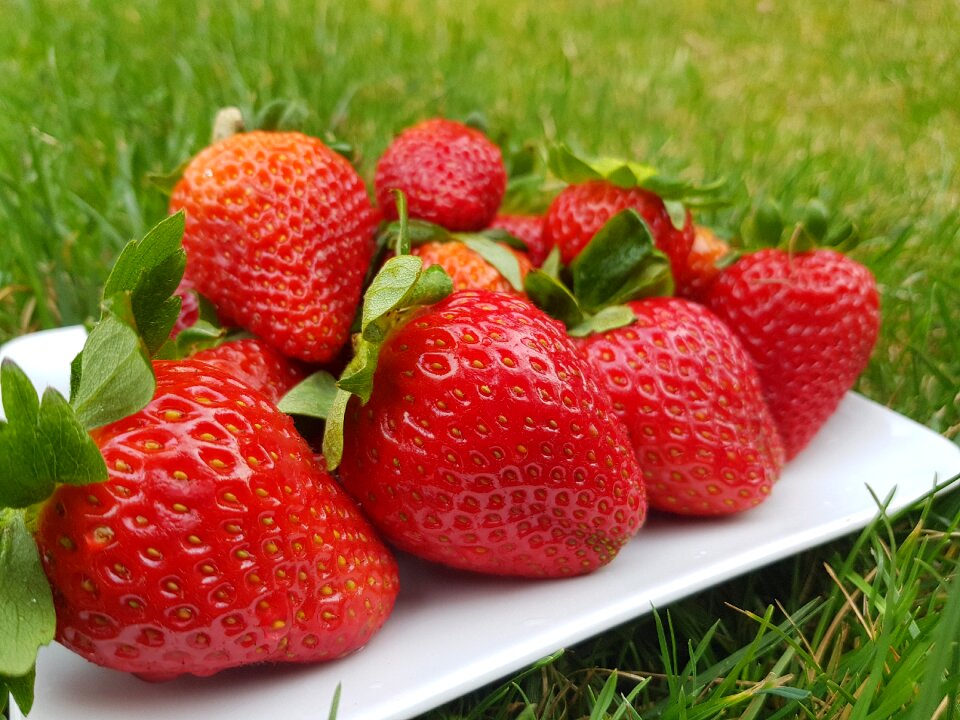Fruit food healthy