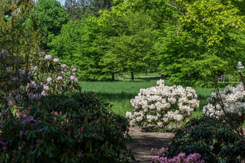 Garden plant park