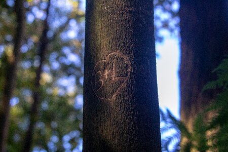 Outdoors names carving