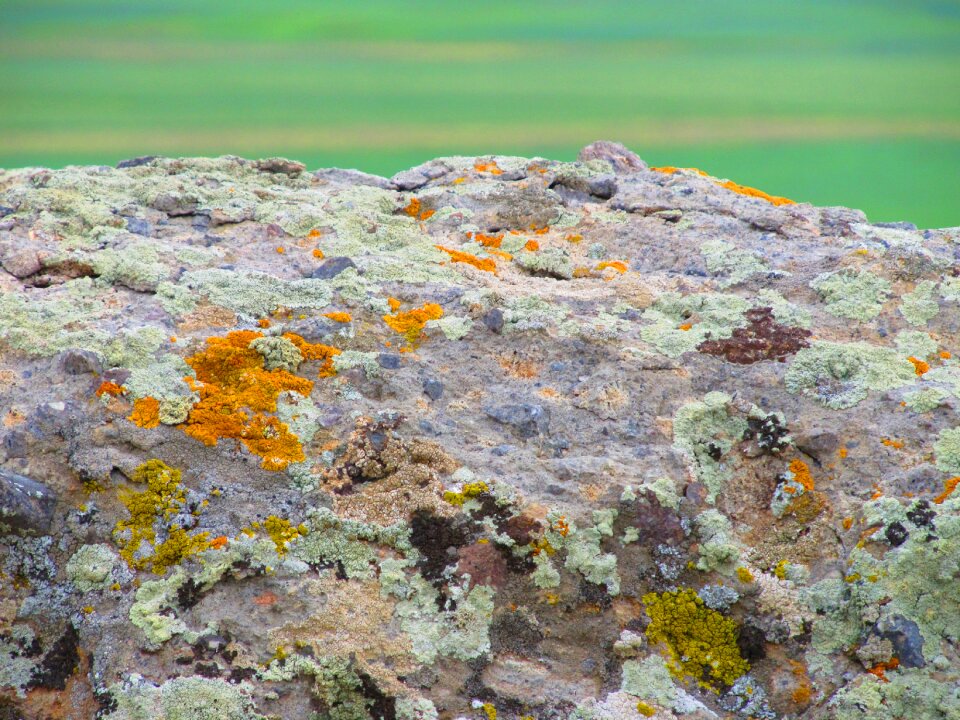Stone no one color