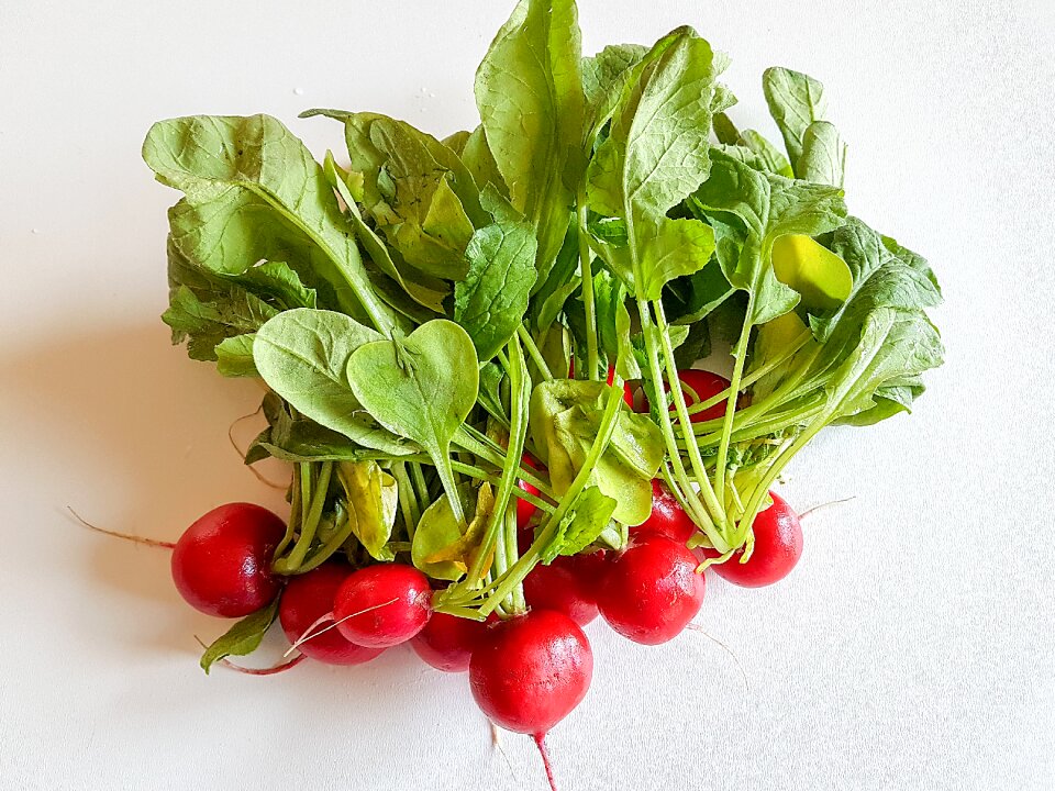 Vegetables salad radish