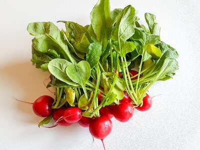 Vegetables salad radish photo