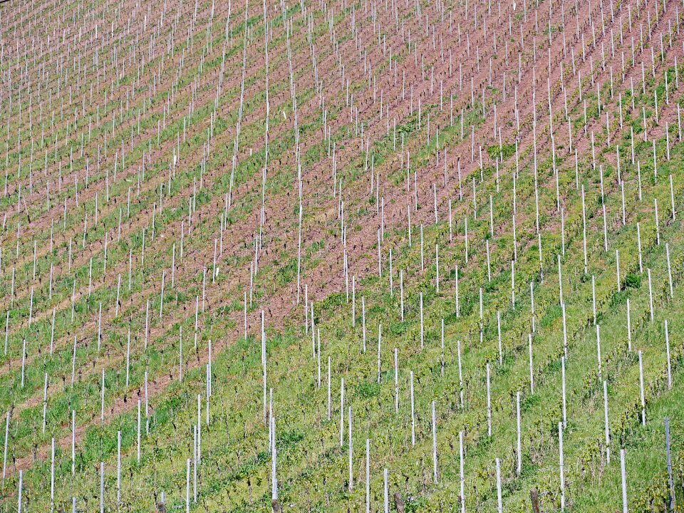 Slope curved bars