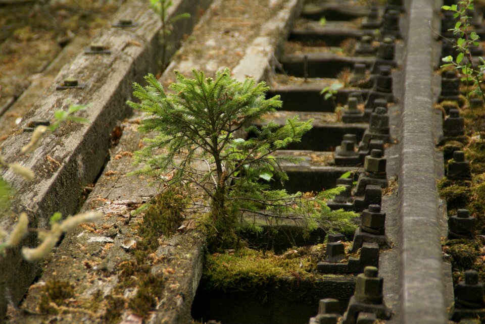 Screw nature railway