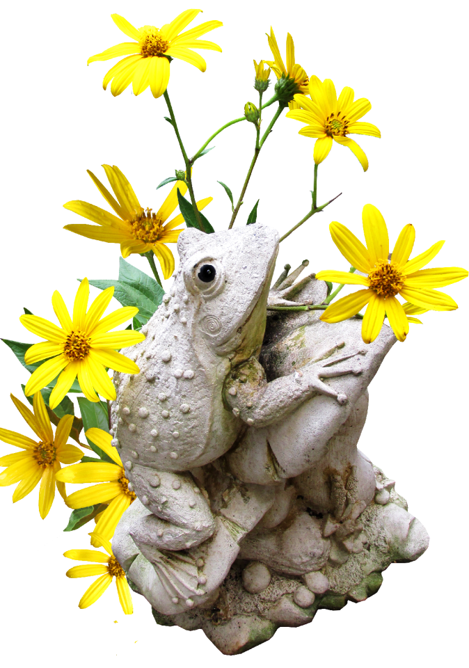 Flowers decoration cut out