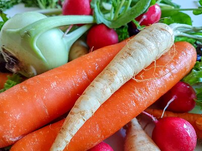 Cooking freshness carrot photo