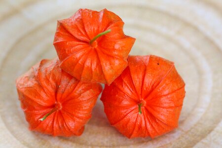 Vegetable berry decorative