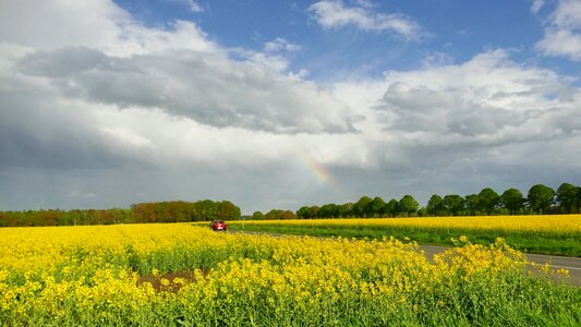 Agriculture nature panorama photo