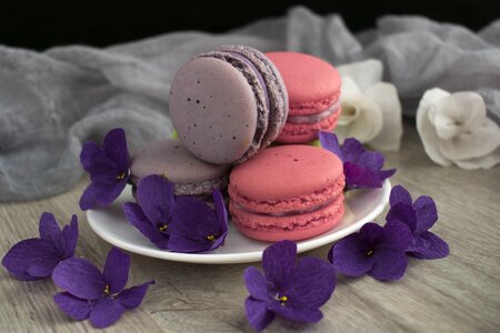 Dessert macarons sweets photo