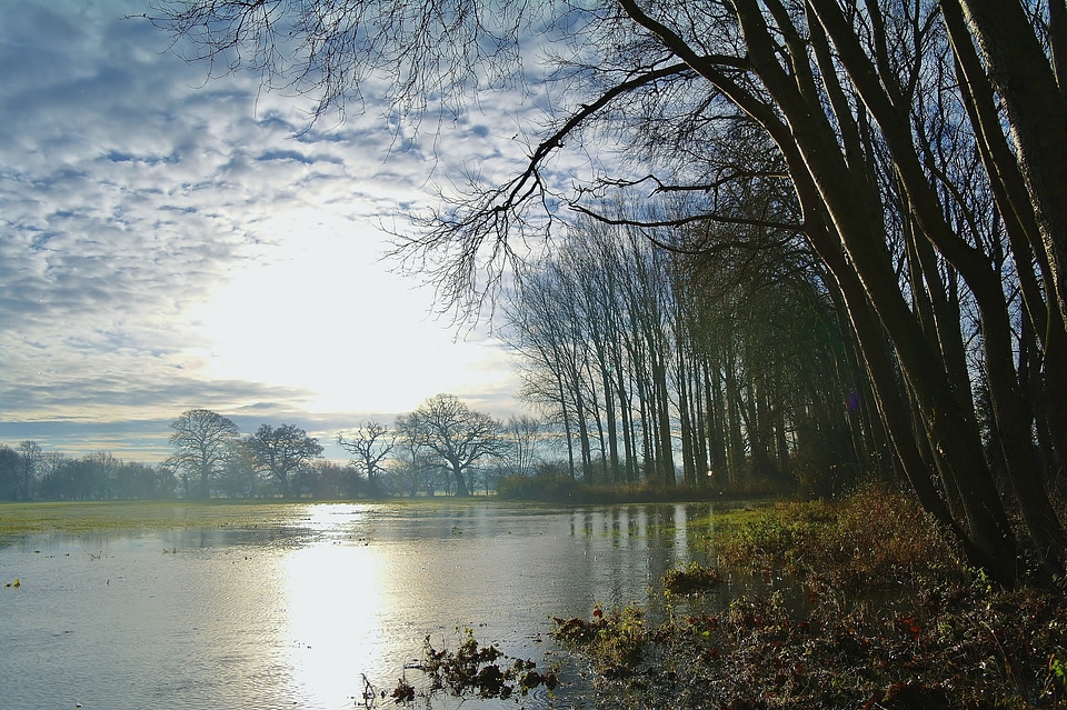 Winter fields countryside