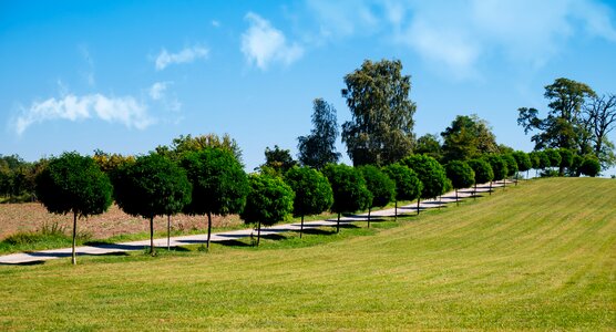 Summer landscape panoramic photo