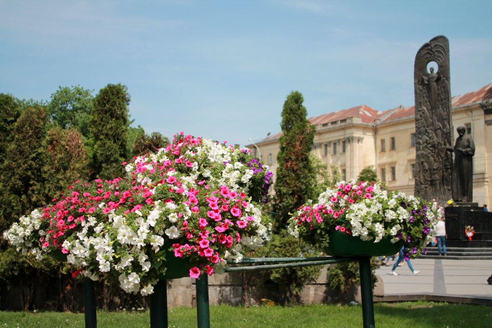 Ukraine lviv shevchenko monument