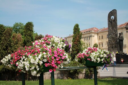 Ukraine lviv shevchenko monument
