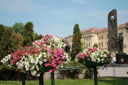 Ukraine lviv shevchenko monument photo