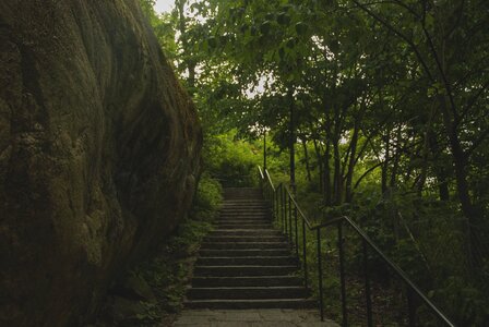 Footpath leaf outdoors photo