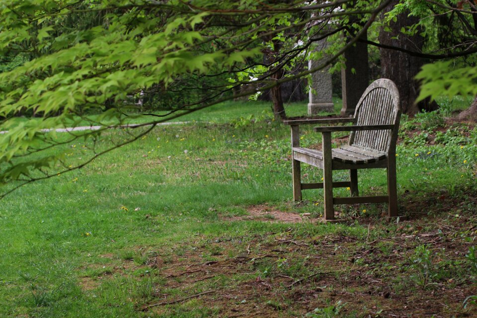 Grass landscape outdoors