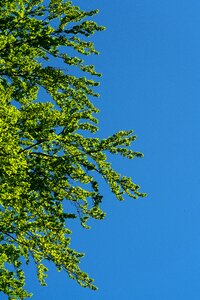 Sky contrast blue