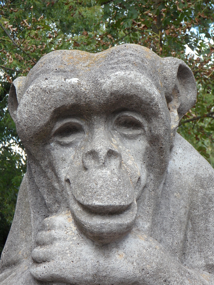 Face smiling friendly