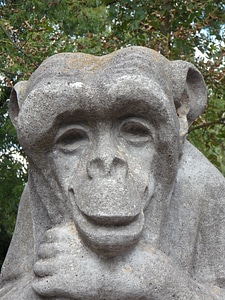 Face smiling friendly