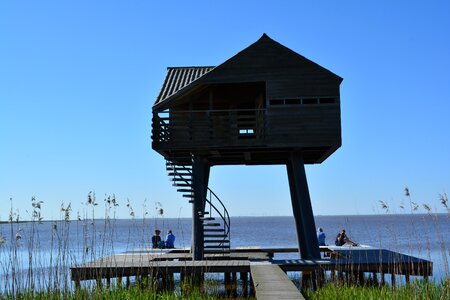 Holland birds view