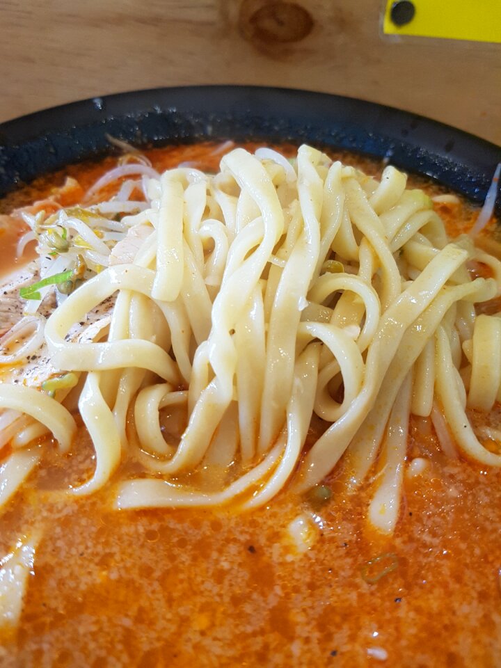 Noodle noodles Free photos