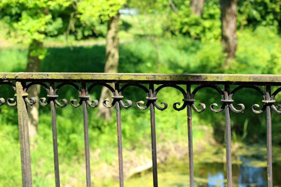At the court of nature spring