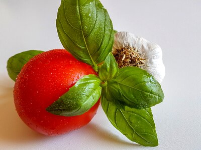Food nature nobody
