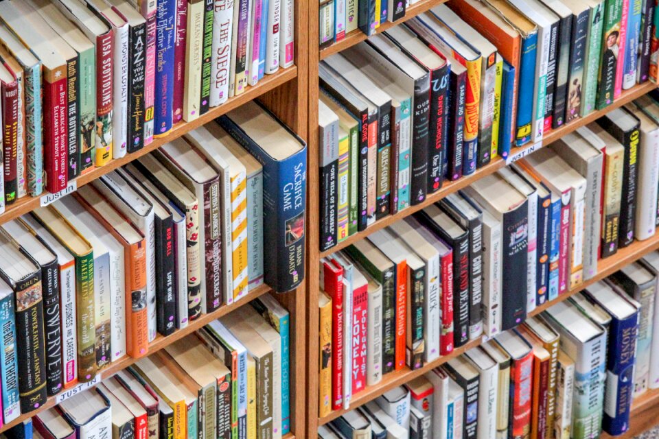Bookstore literature