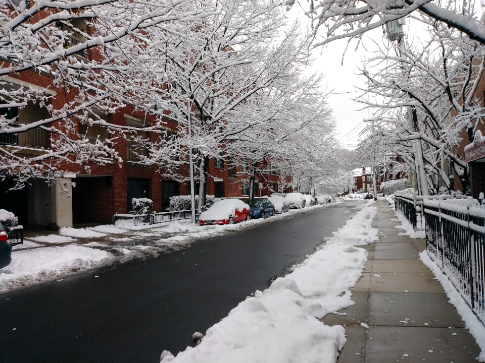 Cold ice