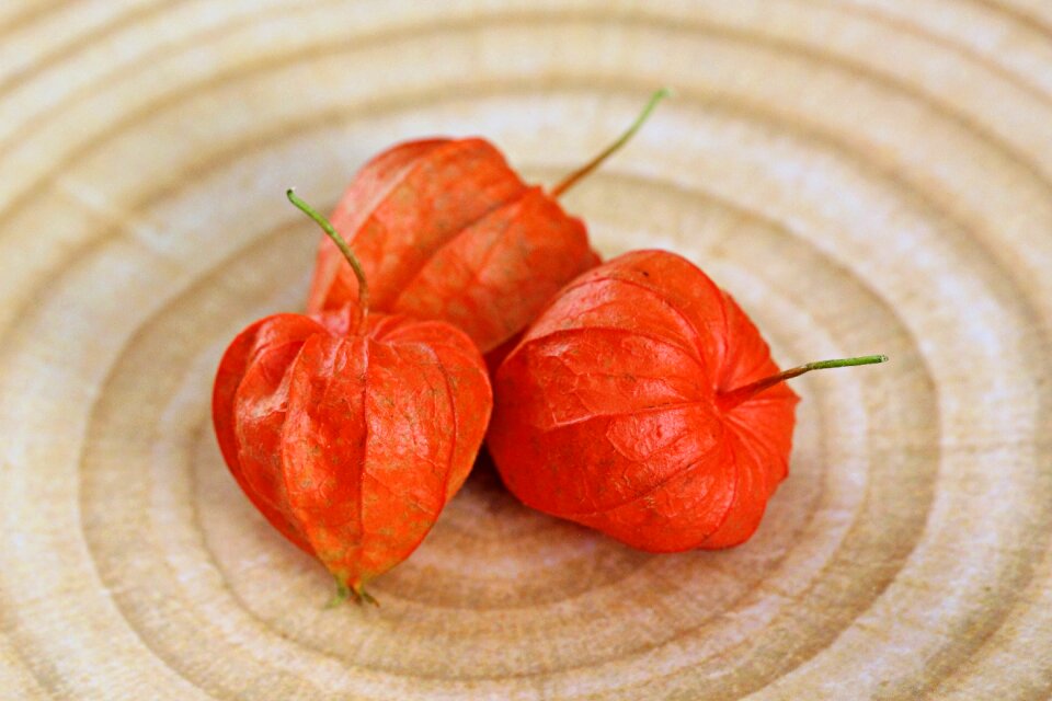 Orange asia food