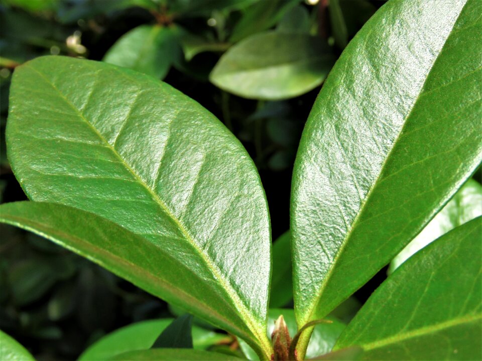 Nature freshness environment