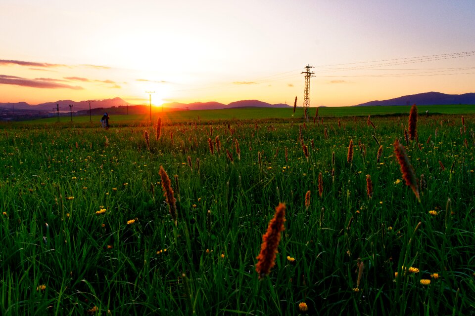 Liptov country meadow
