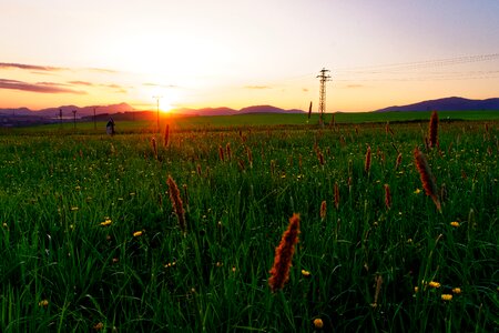 Liptov country meadow photo