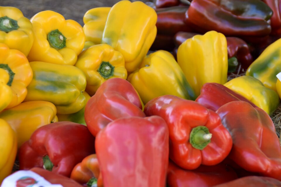 Yellow pepper food vegetable photo